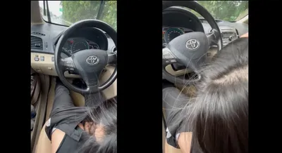 Gấu mưa thích bú mút trên xe ô tô